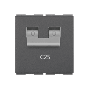 C25 double pole modular mcb